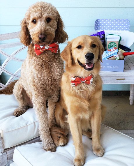 feature-collection-image